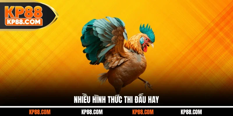 Nhiều hình thức thi đấu hay