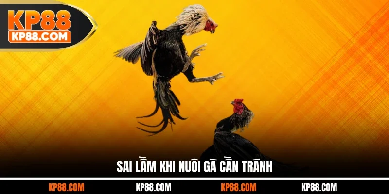 Sai lầm khi nuôi gà cần tránh