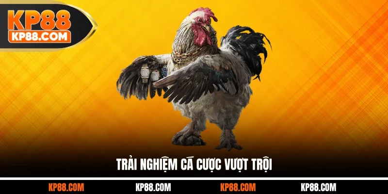 Trải nghiệm cá cược vượt trội
