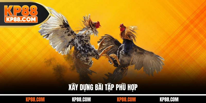 Xây dựng bài tập phù hợp